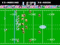 une photo d'Ã©cran de Tecmo Super Bowl sur Nintendo Nes